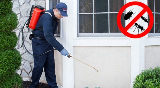 Geyve Dezenfeksiyon böcek ilaçlama ve haşere kontrolü — ilaclama-tr.com